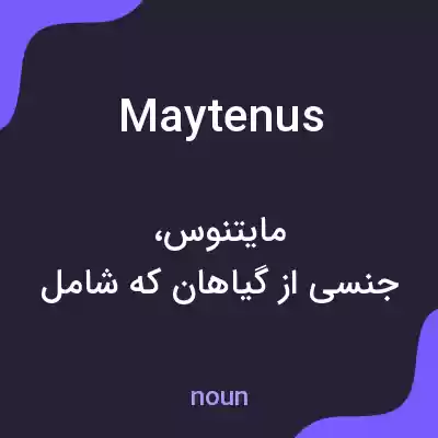 معنی maytenus به فارسی معنی maytenus به فارسی