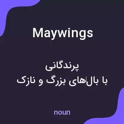 معنی maywings به فارسی معنی maywings به فارسی