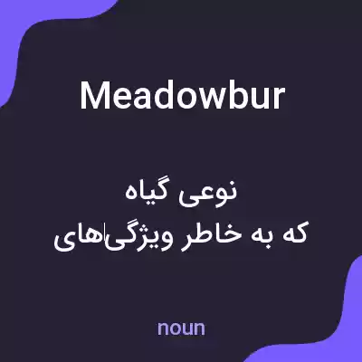 معنی meadowbur به فارسی معنی meadowbur به فارسی