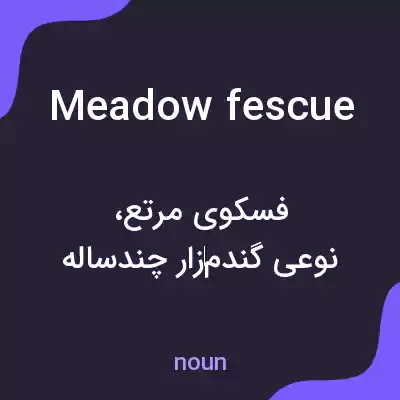 معنی meadow fescue به فارسی معنی meadow fescue به فارسی