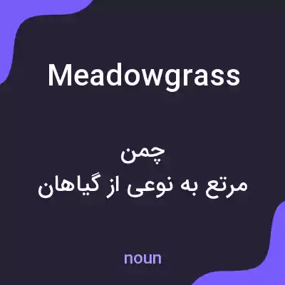 معنی meadow grass به فارسی معنی meadow grass به فارسی