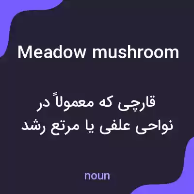 معنی meadow mushroom به فارسی معنی meadow mushroom به فارسی