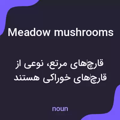معنی meadow mushrooms به فارسی معنی meadow mushrooms به فارسی