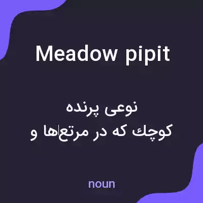 معنی meadow pipit به فارسی معنی meadow pipit به فارسی