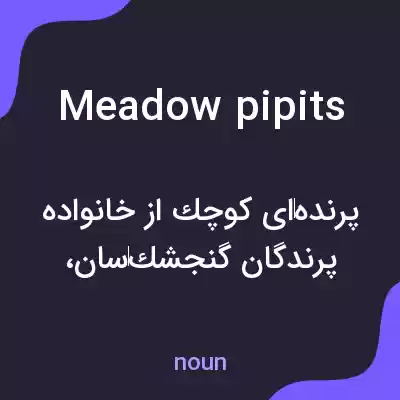 معنی meadow pipits به فارسی معنی meadow pipits به فارسی