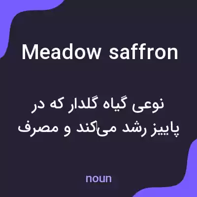 معنی meadow saffron به فارسی معنی meadow saffron به فارسی