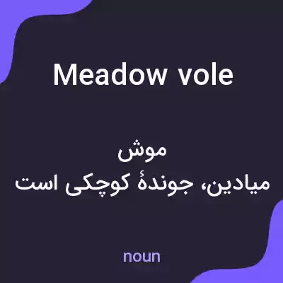 معنی meadow vole به فارسی معنی meadow vole به فارسی