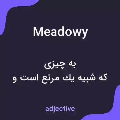 معنی meadowy به فارسی معنی meadowy به فارسی