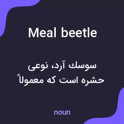 معنی meal beetle به فارسی معنی meal beetle به فارسی