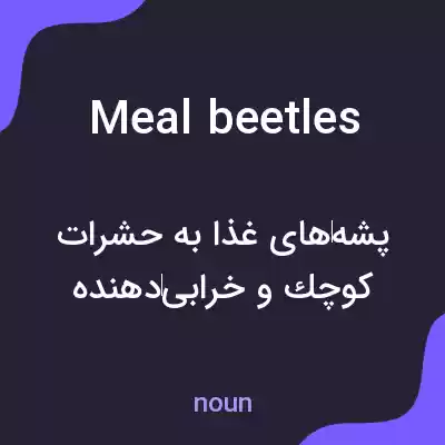 معنی meal beetles به فارسی معنی meal beetles به فارسی