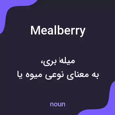 معنی mealberry به فارسی معنی mealberry به فارسی