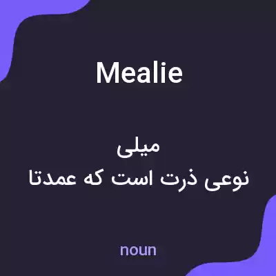 معنی mealie به فارسی