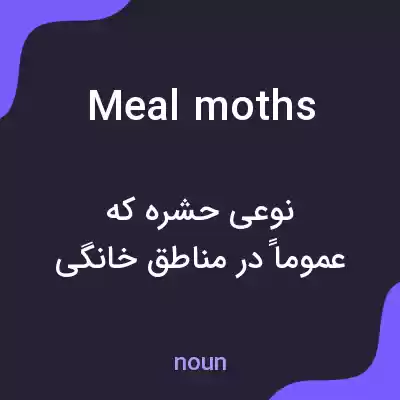 معنی meal moths به فارسی معنی meal moths به فارسی