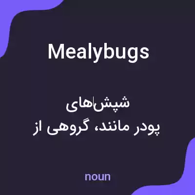 معنی mealybugs به فارسی معنی mealybugs به فارسی