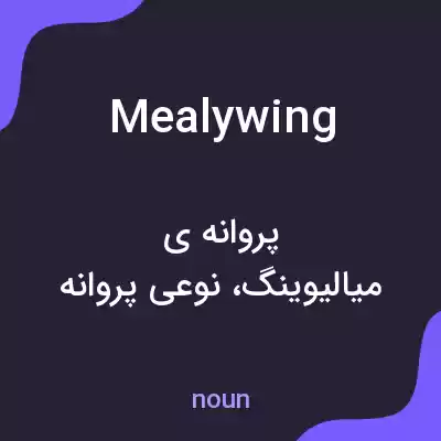 معنی mealywing به فارسی معنی mealywing به فارسی