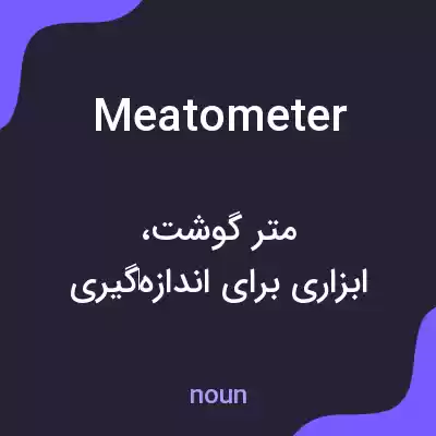معنی meatometer به فارسی معنی meatometer به فارسی