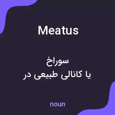 معنی meatus به فارسی معنی meatus به فارسی