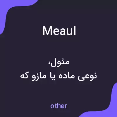 معنی meaul به فارسی معنی meaul به فارسی