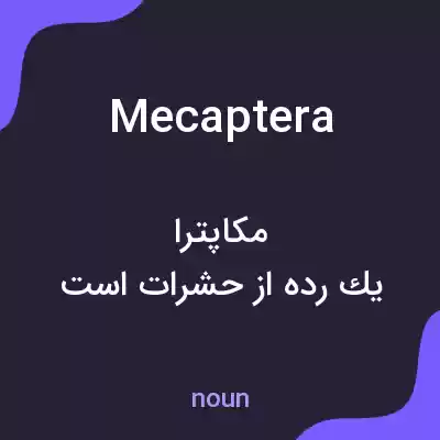 معنی mecaptera به فارسی معنی mecaptera به فارسی
