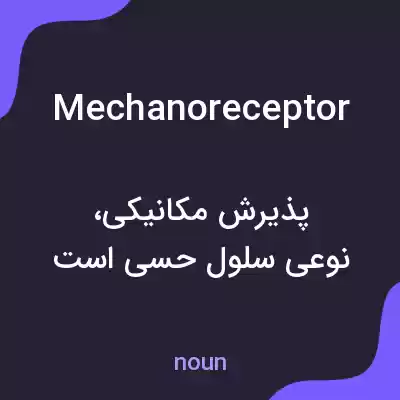 معنی mechanoreceptor به فارسی معنی mechanoreceptor به فارسی