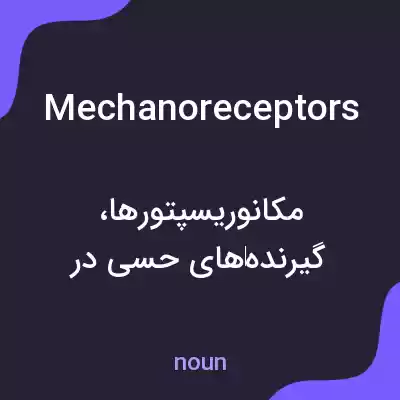 معنی mechanoreceptors به فارسی معنی mechanoreceptors به فارسی