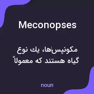 معنی meconopses به فارسی معنی meconopses به فارسی