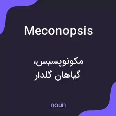 معنی meconopsis به فارسی معنی meconopsis به فارسی