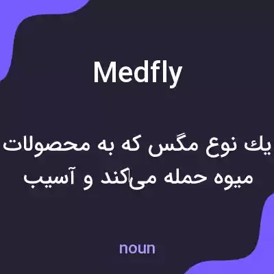 معنی medfly به فارسی معنی medfly به فارسی