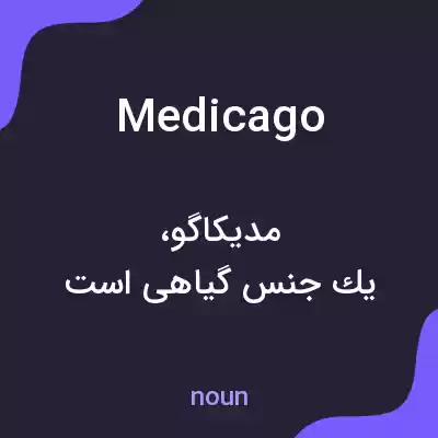 معنی medicago به فارسی معنی medicago به فارسی