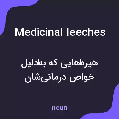 معنی medicinal leeches به فارسی معنی medicinal leeches به فارسی