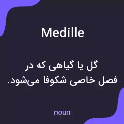 معنی medille به فارسی معنی medille به فارسی