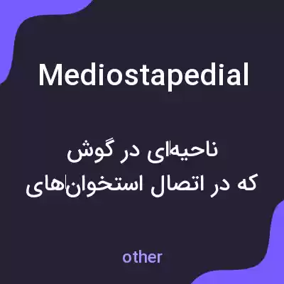 معنی mediostapedial به فارسی معنی mediostapedial به فارسی