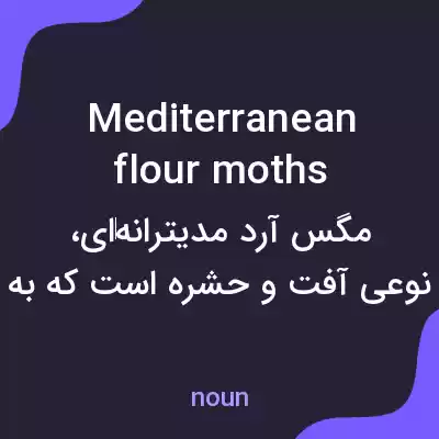 معنی mediterranean flour moths به فارسی