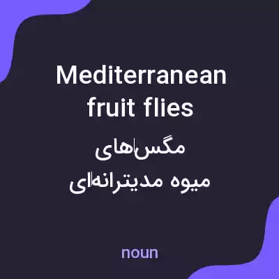 معنی mediterranean fruit flies به فارسی
