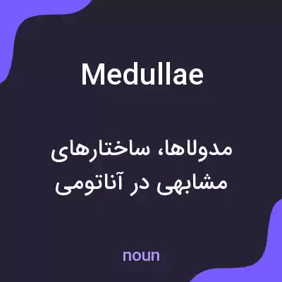 معنی medullae به فارسی معنی medullae به فارسی