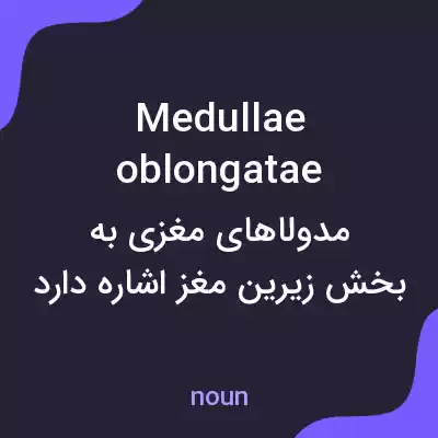 معنی medullae oblongatae به فارسی معنی medullae oblongatae به فارسی