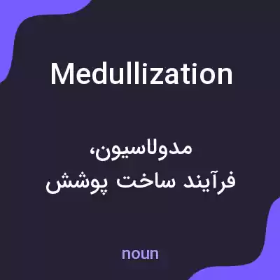 معنی medullization به فارسی معنی medullization به فارسی