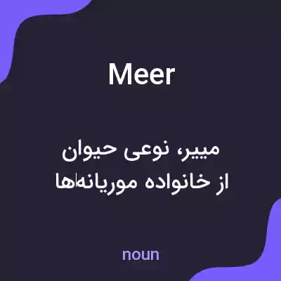معنی meer به فارسی