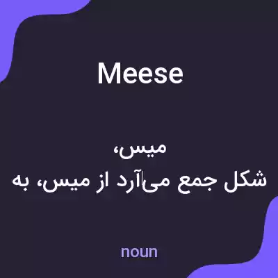 معنی meese به فارسی معنی meese به فارسی