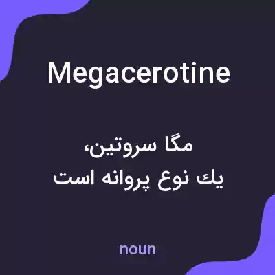معنی megacerotine به فارسی معنی megacerotine به فارسی