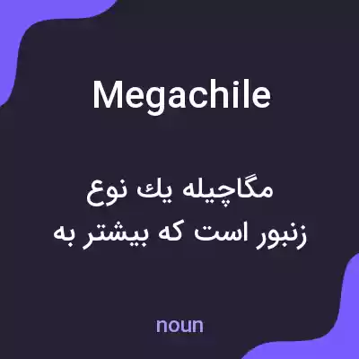 معنی megachile به فارسی معنی megachile به فارسی