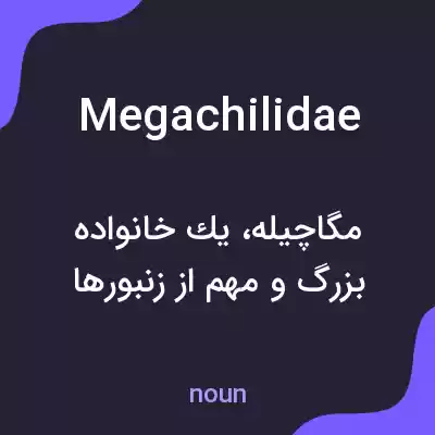 معنی megachilidae به فارسی معنی megachilidae به فارسی