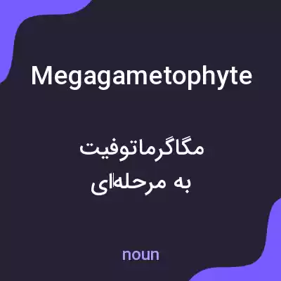 معنی megagametophyte به فارسی معنی megagametophyte به فارسی