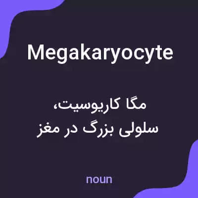 معنی megakaryocyte به فارسی معنی megakaryocyte به فارسی