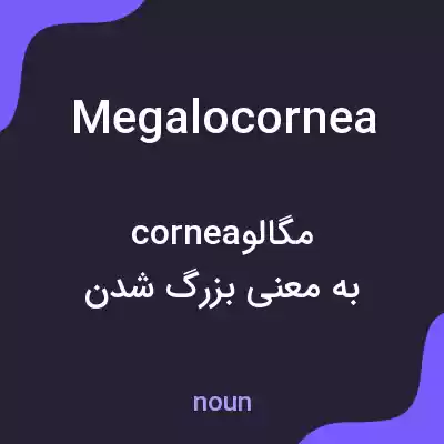 معنی megalocornea به فارسی معنی megalocornea به فارسی