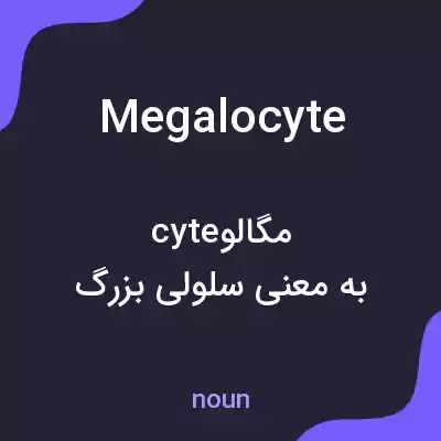 معنی megalocyte به فارسی معنی megalocyte به فارسی