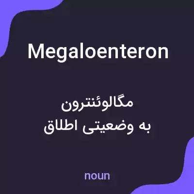 معنی megaloenteron به فارسی معنی megaloenteron به فارسی