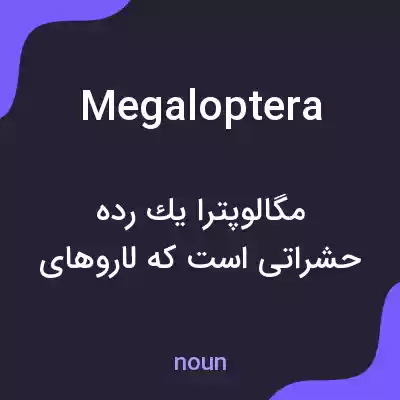 معنی megaloptera به فارسی معنی megaloptera به فارسی