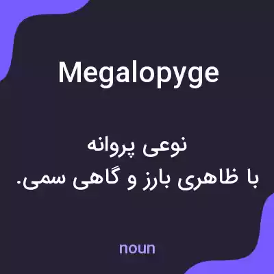 معنی megalopyge به فارسی معنی megalopyge به فارسی