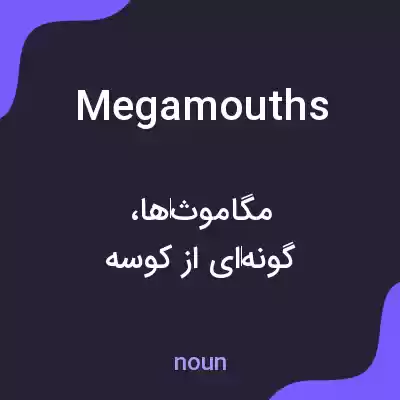 معنی megamouths به فارسی معنی megamouths به فارسی